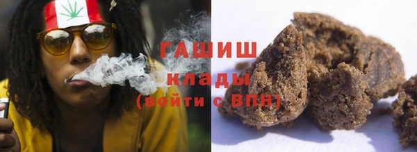 PSILOCYBIN Каменка