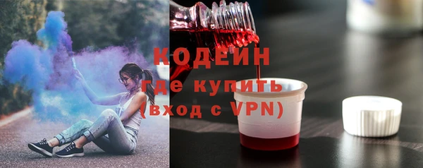 PSILOCYBIN Каменка