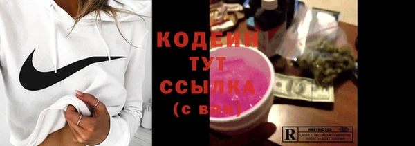 PSILOCYBIN Каменка