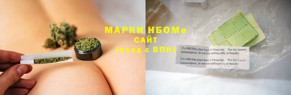 PSILOCYBIN Каменка