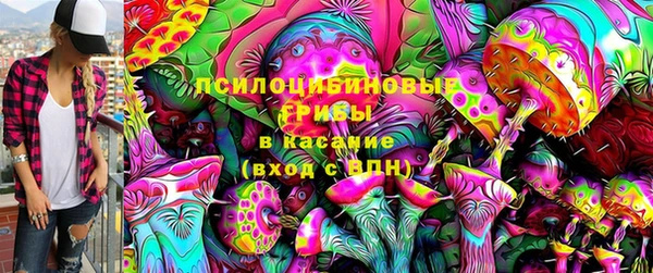 ПСИЛОЦИБИНОВЫЕ ГРИБЫ Каменногорск