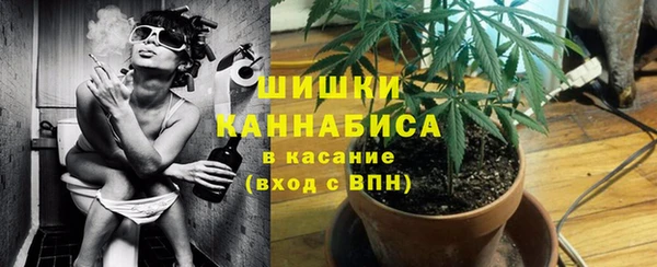 PSILOCYBIN Каменка