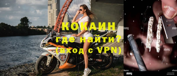 PSILOCYBIN Каменка