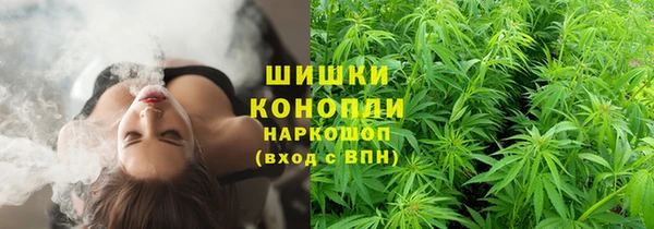 PSILOCYBIN Каменка