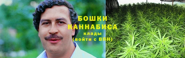 PSILOCYBIN Каменка