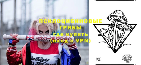 ПСИЛОЦИБИНОВЫЕ ГРИБЫ Каменногорск