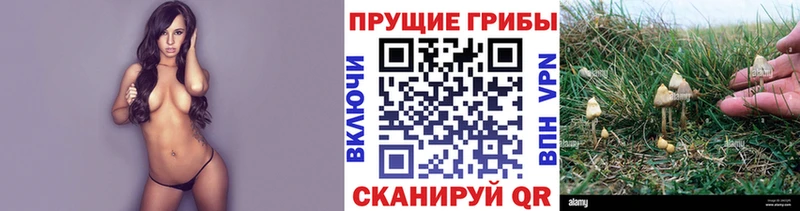 Псилоцибиновые грибы прущие грибы  Купить где  Калтан 